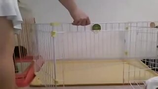 Brunette nestrpno sesa moj kurac pov