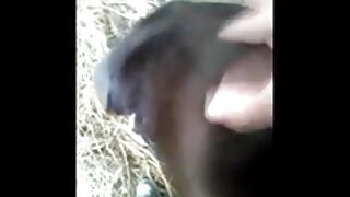 Mešani svingerski pari v trdi akciji