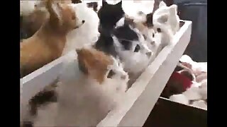 Blondinka z lepimi joški in seksom v kopalnici