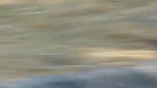 Ebenovinasti par seksa na tleh