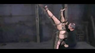 Cutie sesa velik tiča in dobi obremenitev na njen obraz