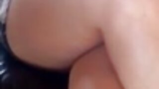 Lizana sladko obrita muca