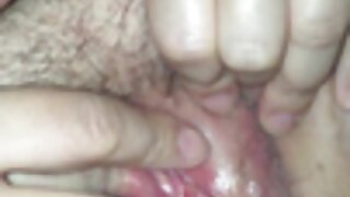 Prsata kurba vleče tiča