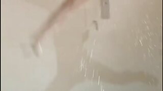 Očarljiva rjavolaska sesa velikega tiča pred kamero