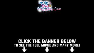 Rjavolaska z dolgimi nogami vzpenja na tiča