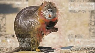 Vsakodnevni seks užitki