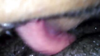 Razpršite vročo rjavolasko kot še nikoli