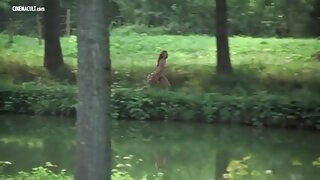 Babe s povprečnimi joški in majhnimi bradavičkami faha