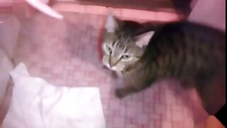 Tako močno liže kurac, da hitro zaključim