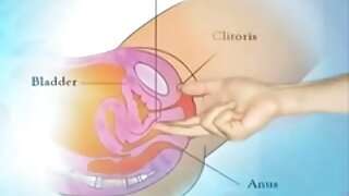 Popoln okrogel plen pripravljen za akcijo