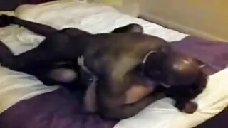 Big booty babe jaha tiča in kremasta