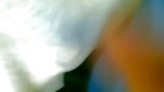 Teen zanič velik trdi tiča