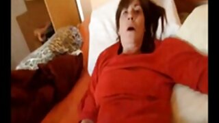 Tesna azijska muca v avtu